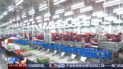 转内销察看丨从“尺度化出口”到“定制 转内销察看丨从“尺度化出口”到“定制
